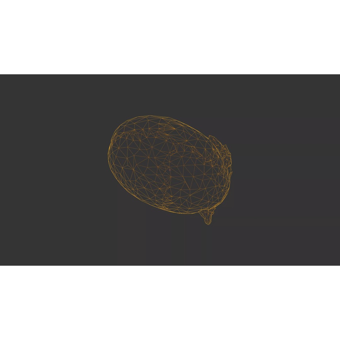 Sprouted Potato 3D Model – Photogrammetry Low-Poly Game Asset, FBX - View 55