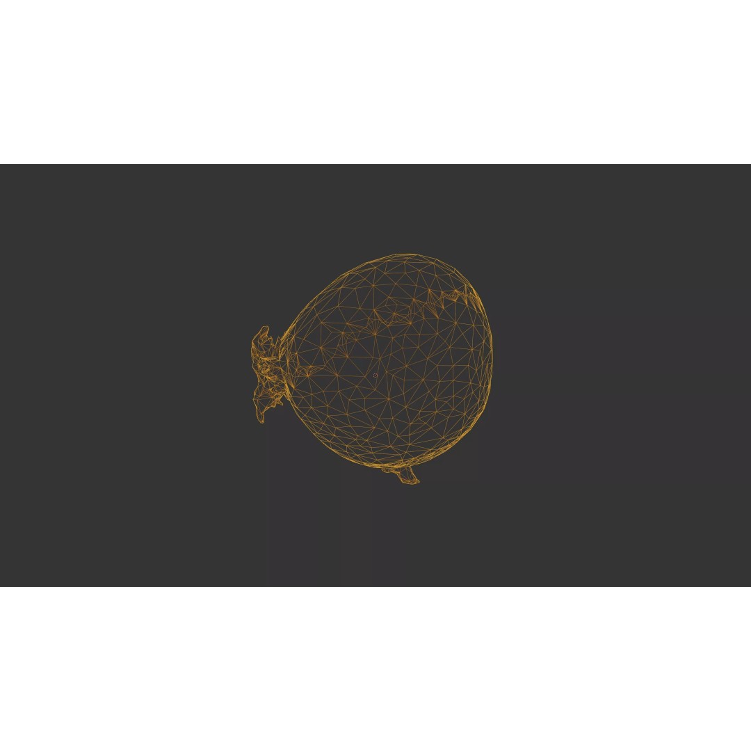 Sprouted Potato 3D Model – Photogrammetry Low-Poly Game Asset, FBX - View 56