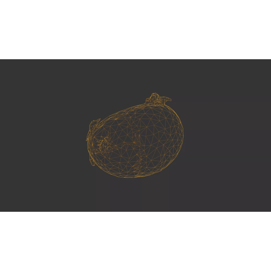 Sprouted Potato 3D Model – Photogrammetry Low-Poly Game Asset, FBX - View 57
