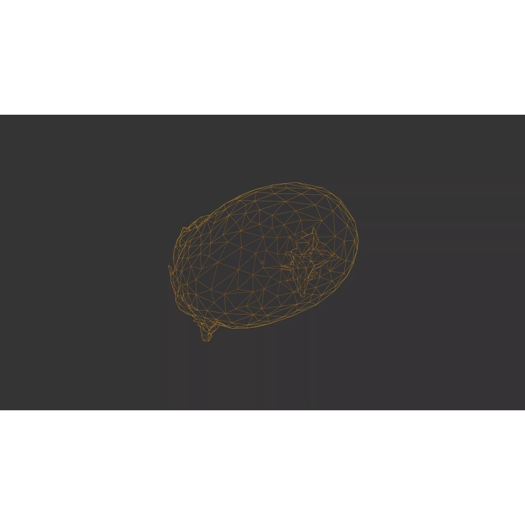 Sprouted Potato 3D Model – Photogrammetry Low-Poly Game Asset, FBX - View 58