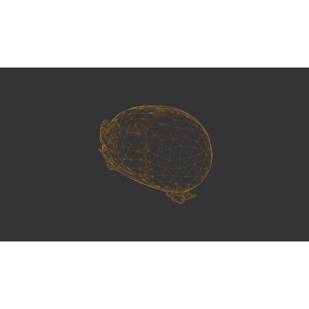 Sprouted Potato 3D Model – Photogrammetry Low-Poly Game Asset, FBX - View 59