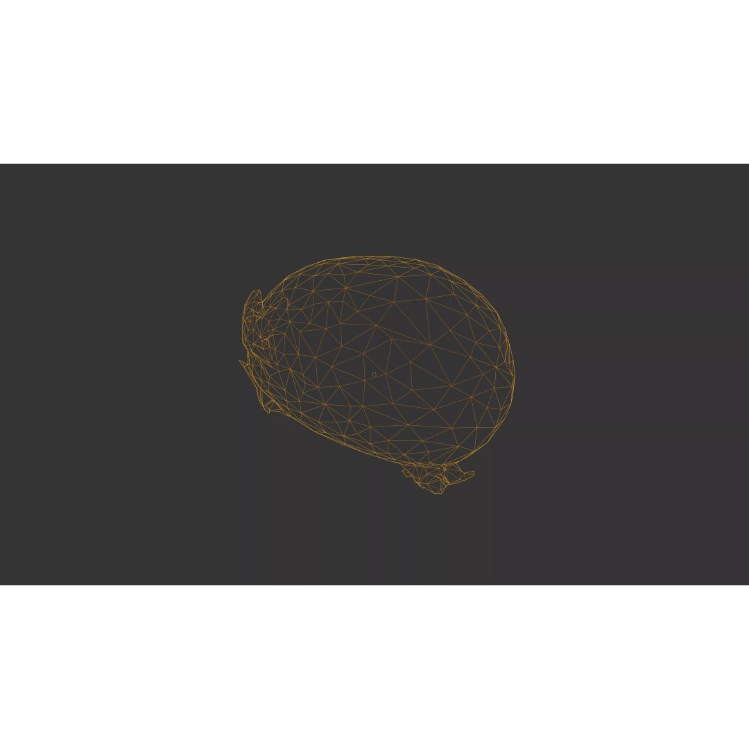 Sprouted Potato 3D Model – Photogrammetry Low-Poly Game Asset, FBX - View 60