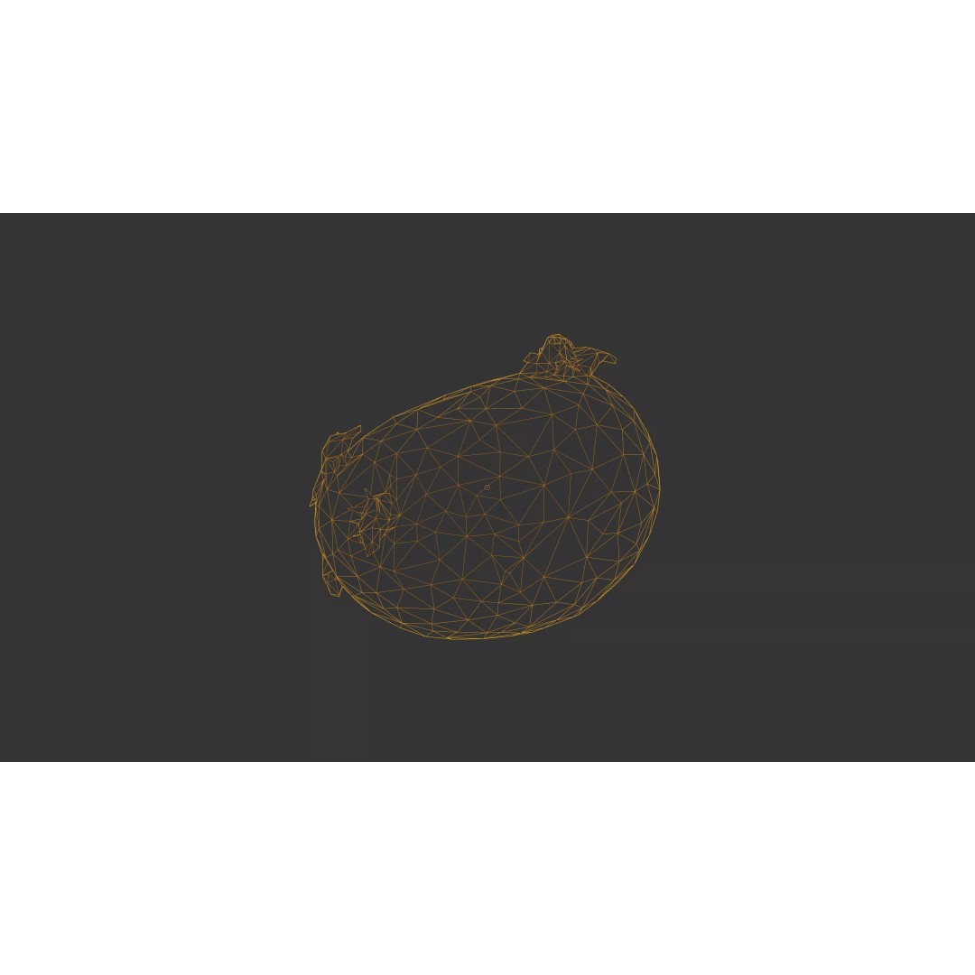 Sprouted Potato 3D Model – Photogrammetry Low-Poly Game Asset, FBX - View 62