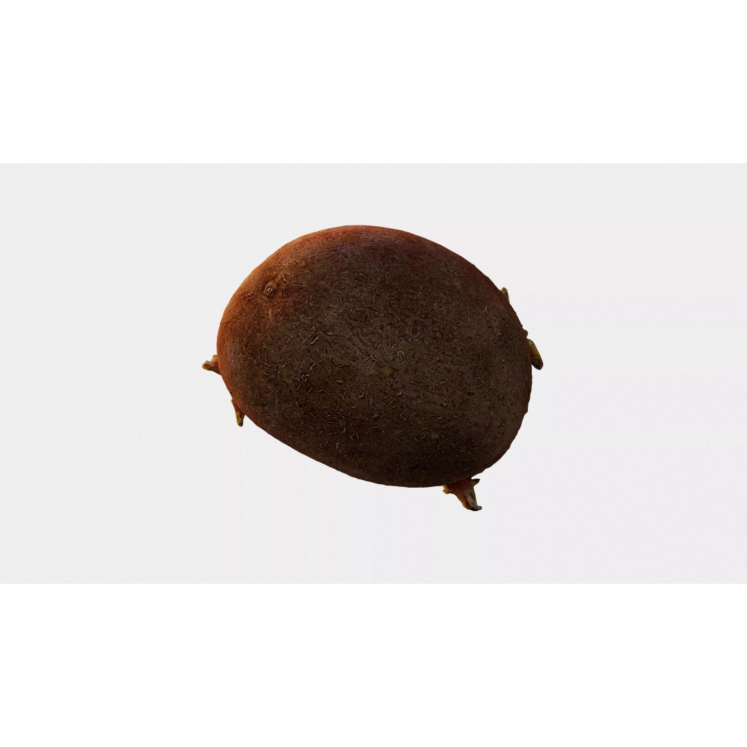Sprouted Potato 3D Model – Photogrammetry Low-Poly Game Asset, FBX - View 8