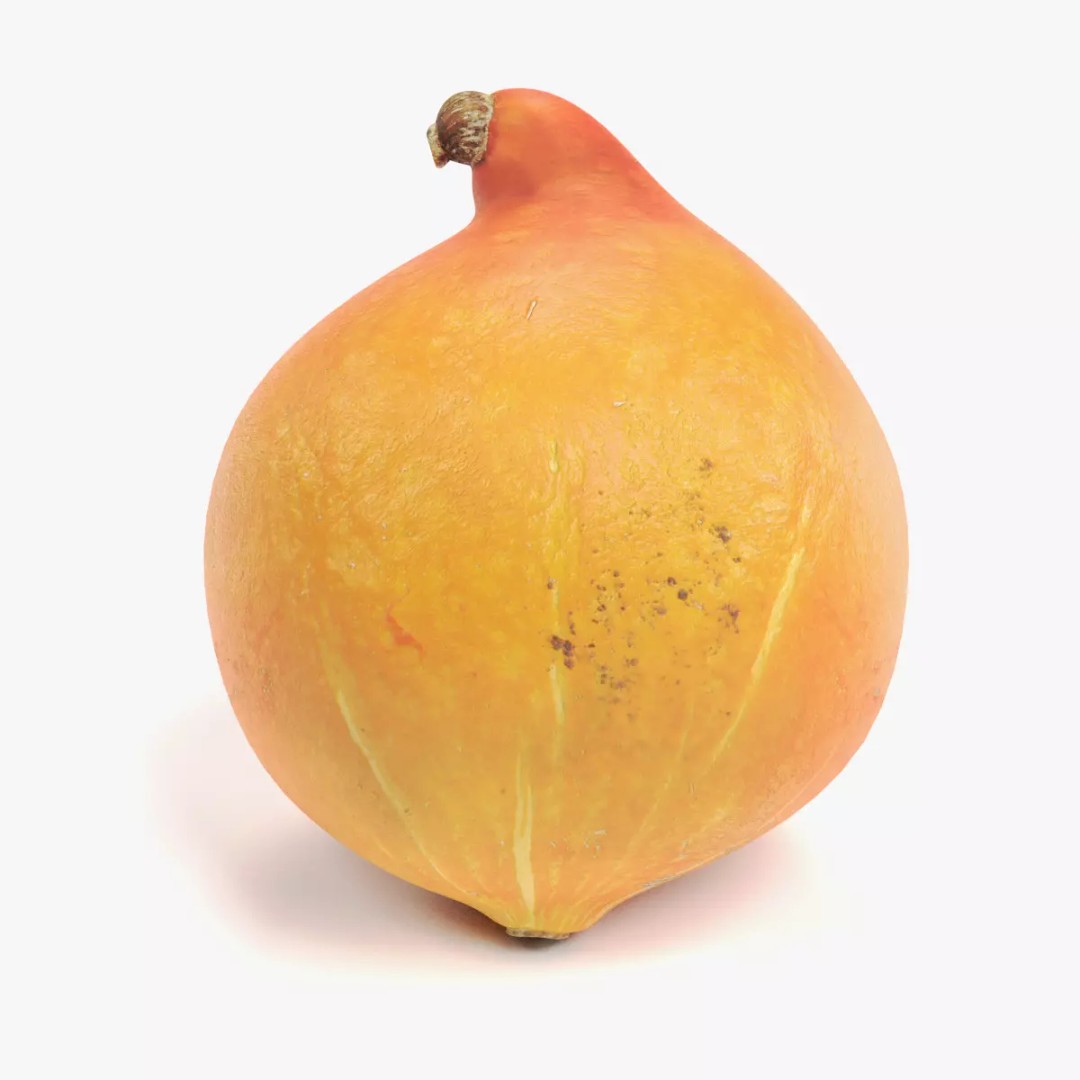 Realistic Pumpkin 3D Model – Classic Orange Squash, PBR Textures