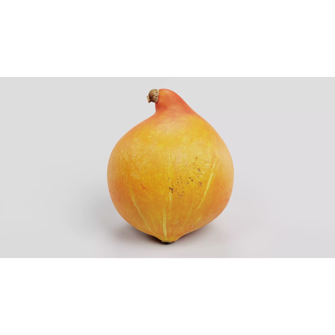 Realistic Pumpkin 3D Model – Classic Orange Squash, PBR Textures - View 2