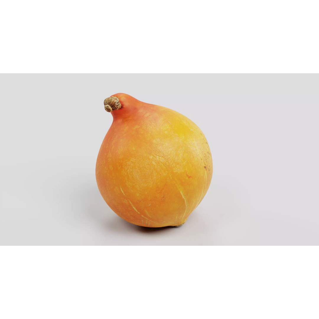 Realistic Pumpkin 3D Model – Classic Orange Squash, PBR Textures - View 3