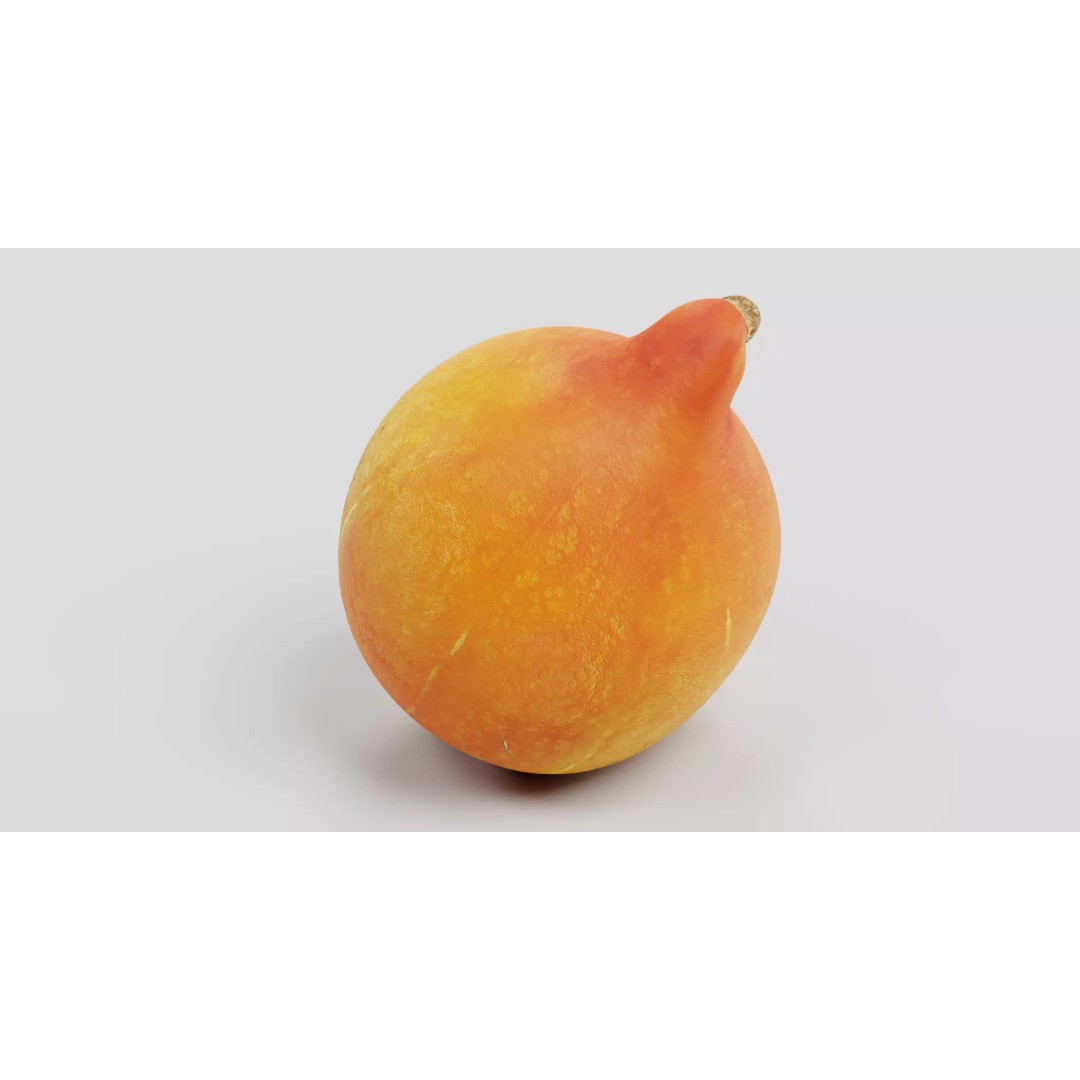 Realistic Pumpkin 3D Model – Classic Orange Squash, PBR Textures - View 4