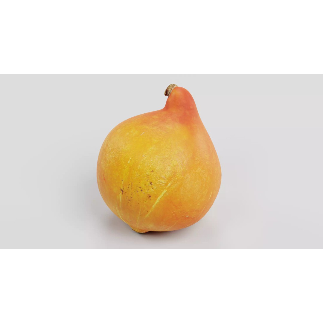 Realistic Pumpkin 3D Model – Classic Orange Squash, PBR Textures - View 5