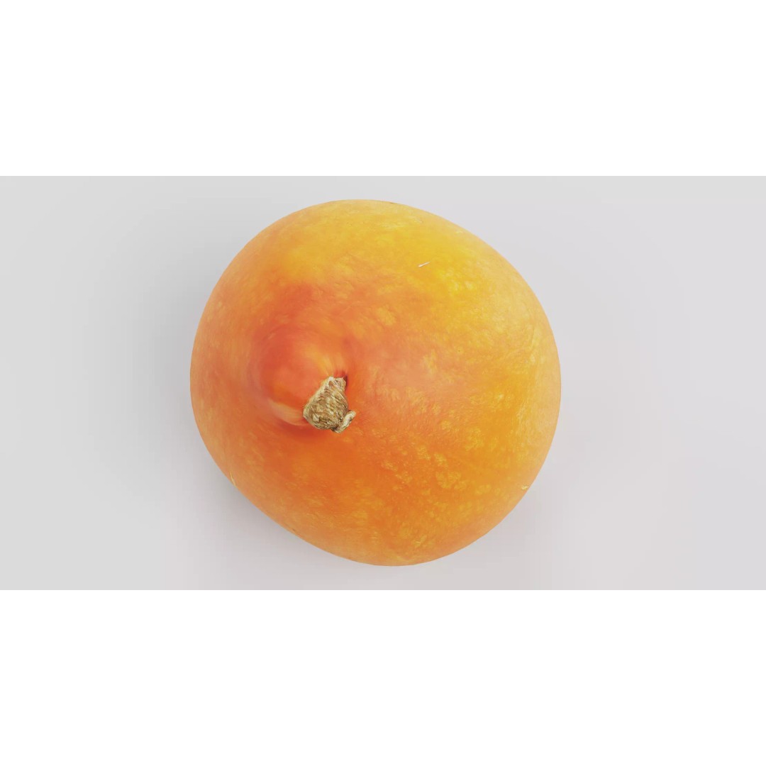Realistic Pumpkin 3D Model – Classic Orange Squash, PBR Textures - View 6