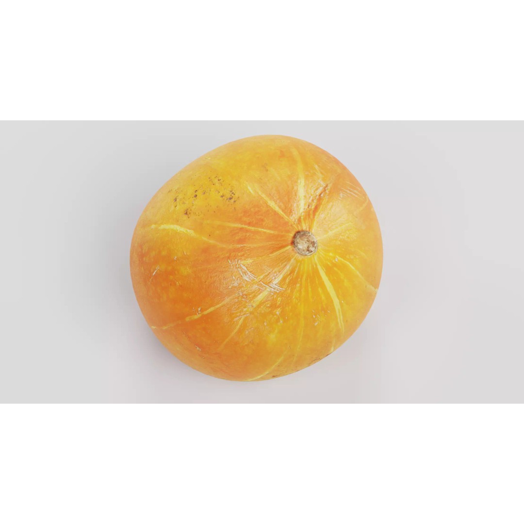 Realistic Pumpkin 3D Model – Classic Orange Squash, PBR Textures - View 7