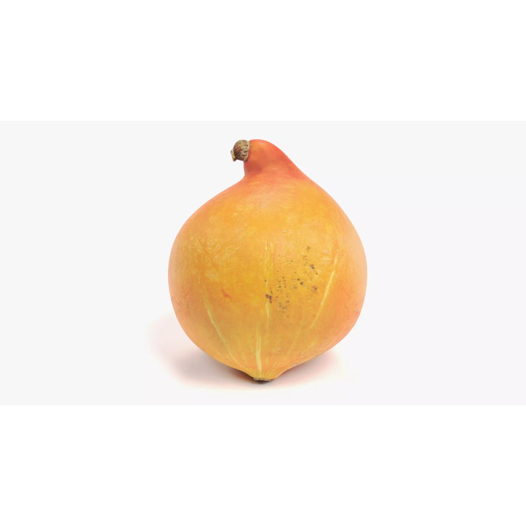 Realistic Pumpkin 3D Model – Classic Orange Squash, PBR Textures - View 8