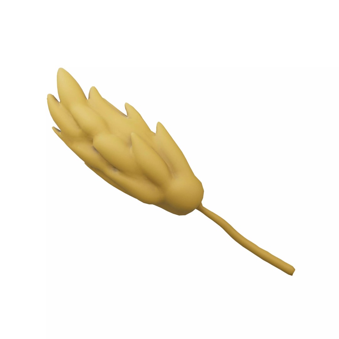 Wheat Blossom Icon 3D Model – Low Poly Game Asset, FBX, OBJ - View 2