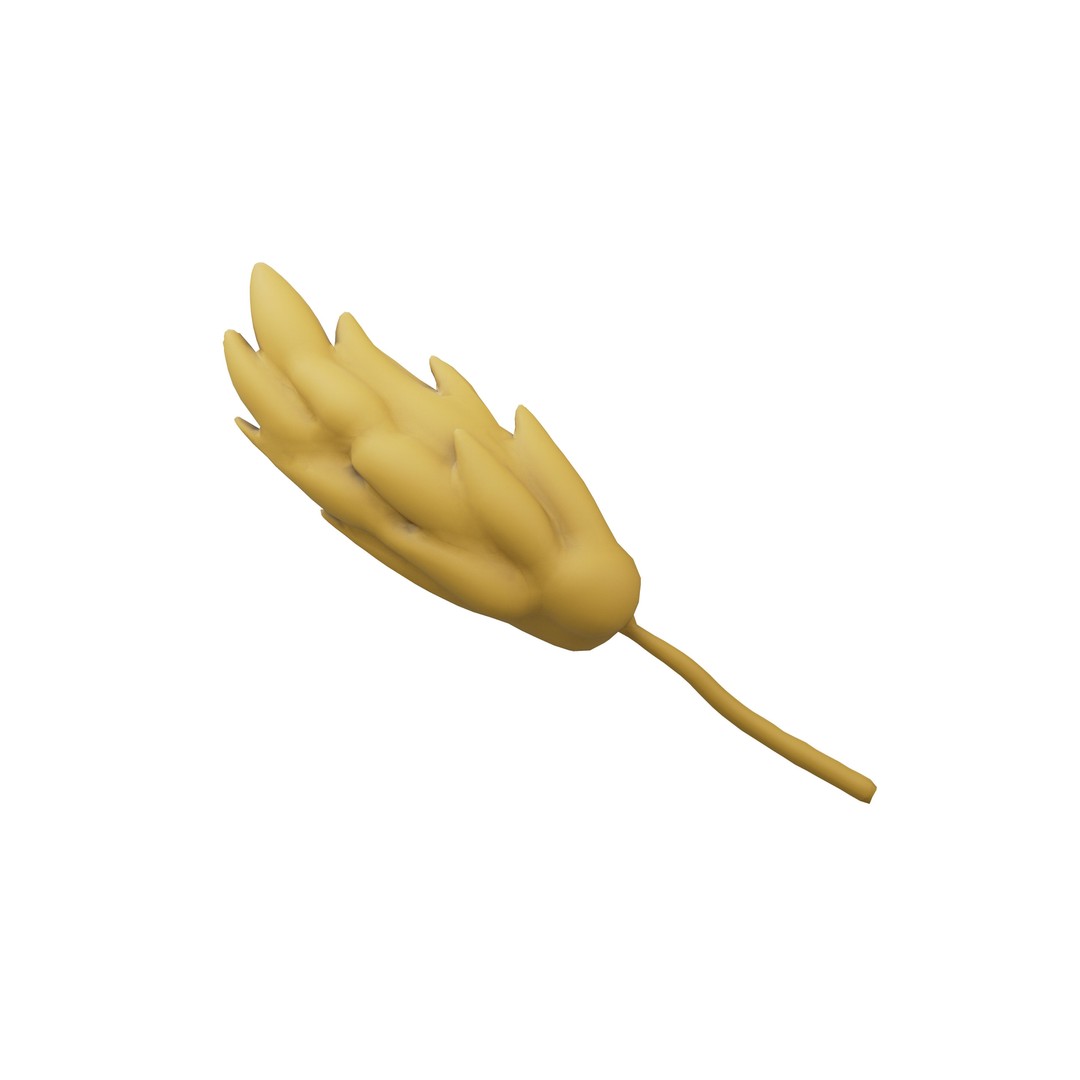 Wheat Blossom Icon 3D Model – Low Poly Game Asset, FBX, OBJ - View 3