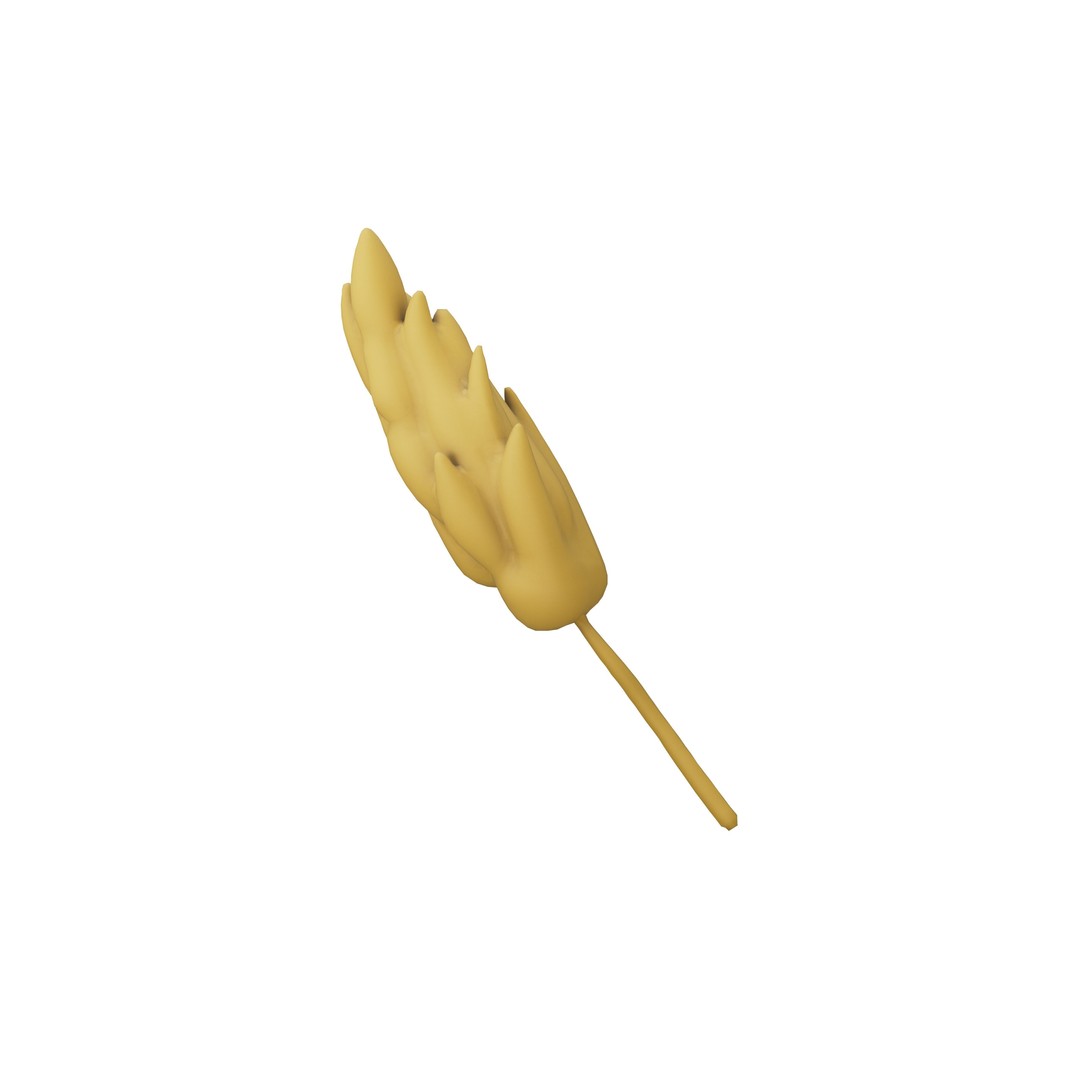 Wheat Blossom Icon 3D Model – Low Poly Game Asset, FBX, OBJ - View 4
