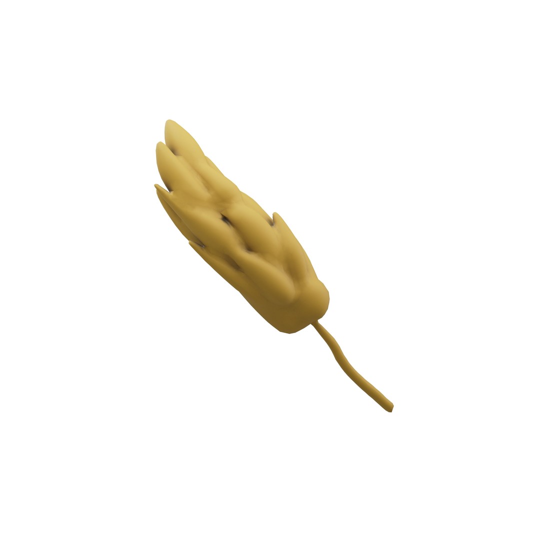 Wheat Blossom Icon 3D Model – Low Poly Game Asset, FBX, OBJ - View 5