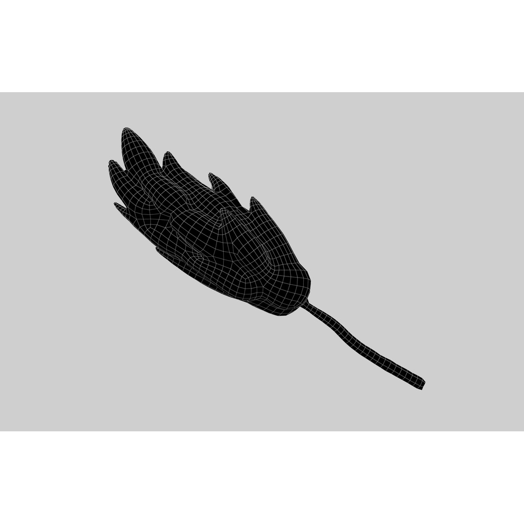 Wheat Blossom Icon 3D Model – Low Poly Game Asset, FBX, OBJ - View 6