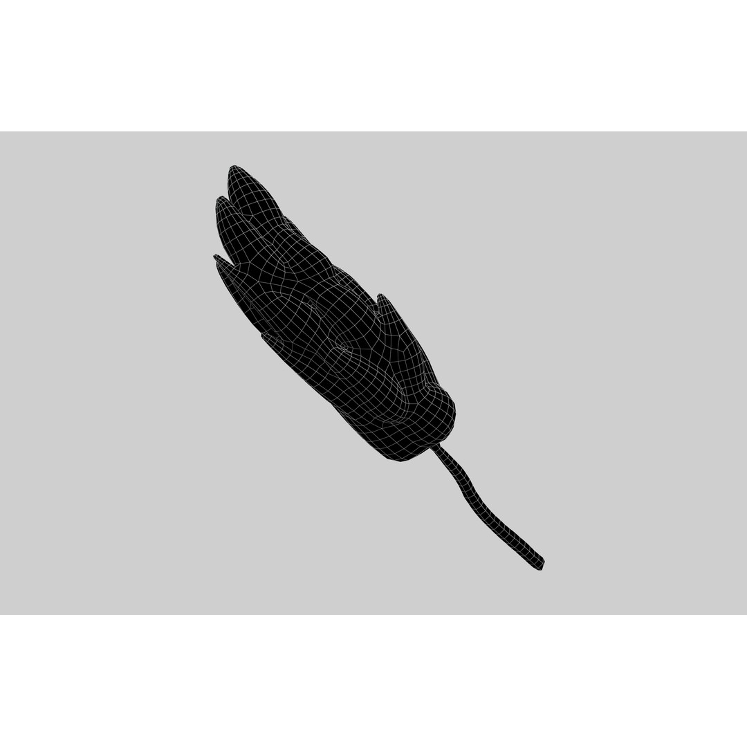 Wheat Blossom Icon 3D Model – Low Poly Game Asset, FBX, OBJ - View 7