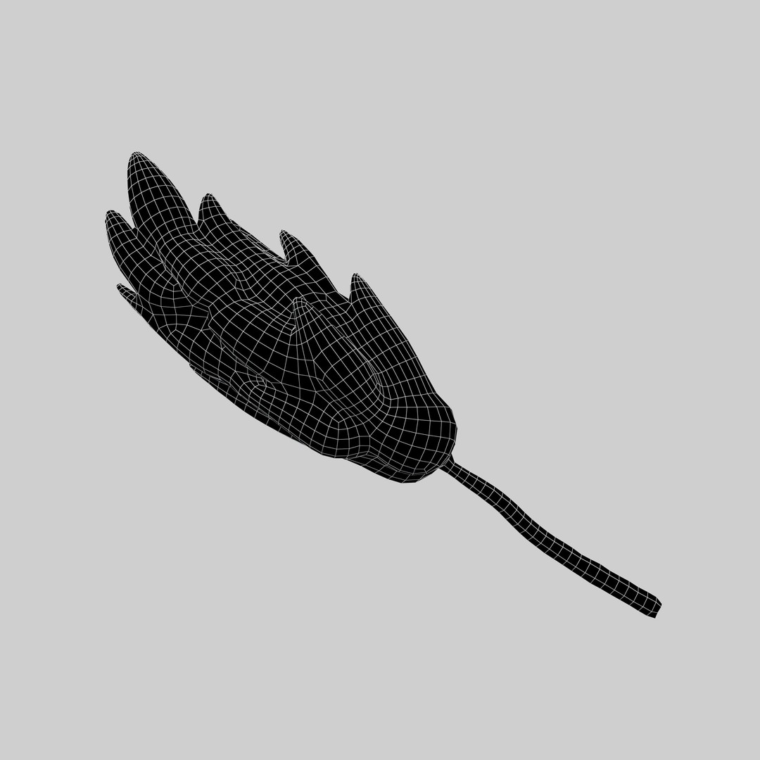 Wheat Blossom Icon 3D Model – Low Poly Game Asset, FBX, OBJ - View 8