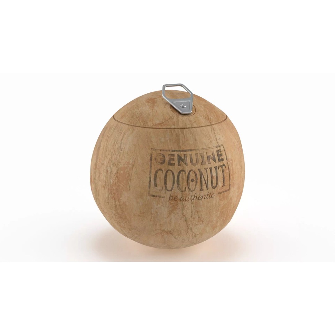 Genuine Coconut 3D Model – Realistic Beverage Packaging with Pull Tab - View 2