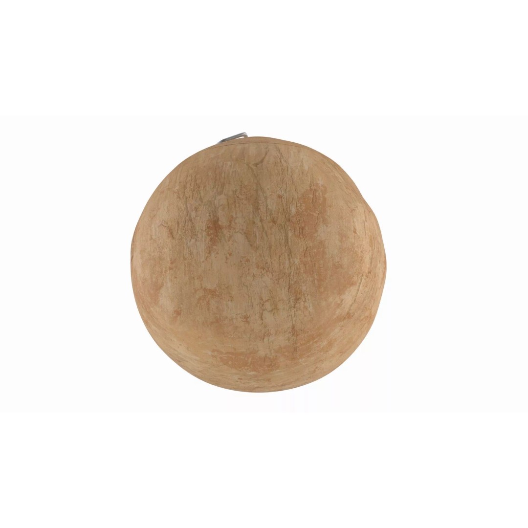 Genuine Coconut 3D Model – Realistic Beverage Packaging with Pull Tab - View 6
