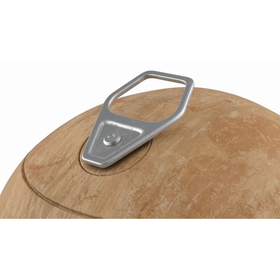 Genuine Coconut 3D Model – Realistic Beverage Packaging with Pull Tab - View 7
