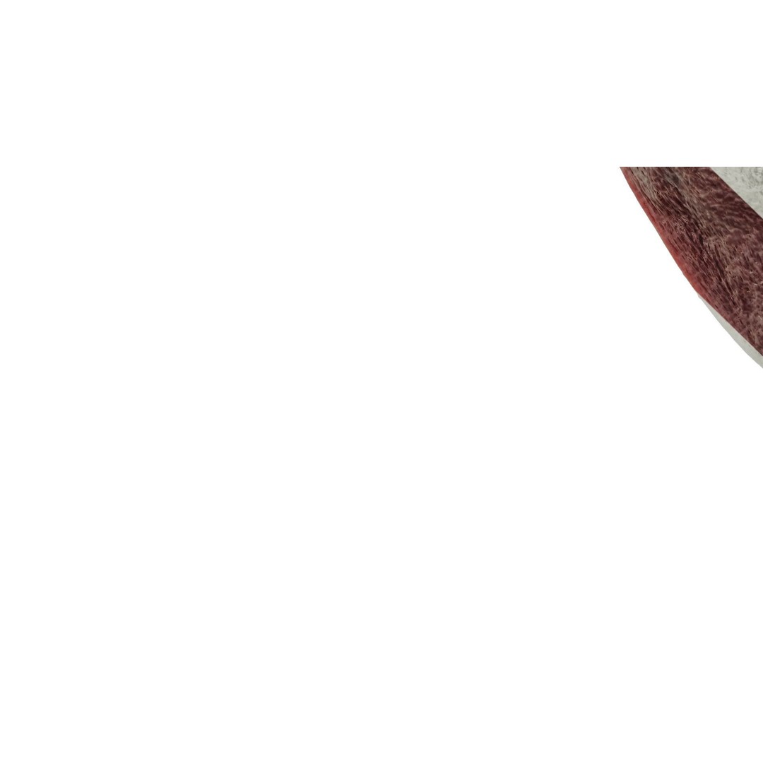 Pork Spleen Texture 3D Model – PBR 1K to 8K Resolution - View 8