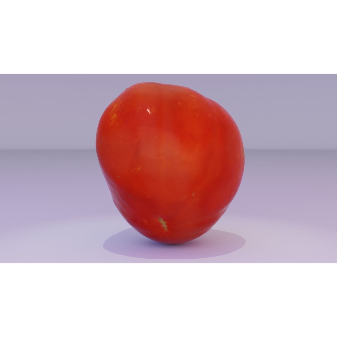 Photorealistic Tomato 3D Model – High Poly PBR Asset for Renders - View 18