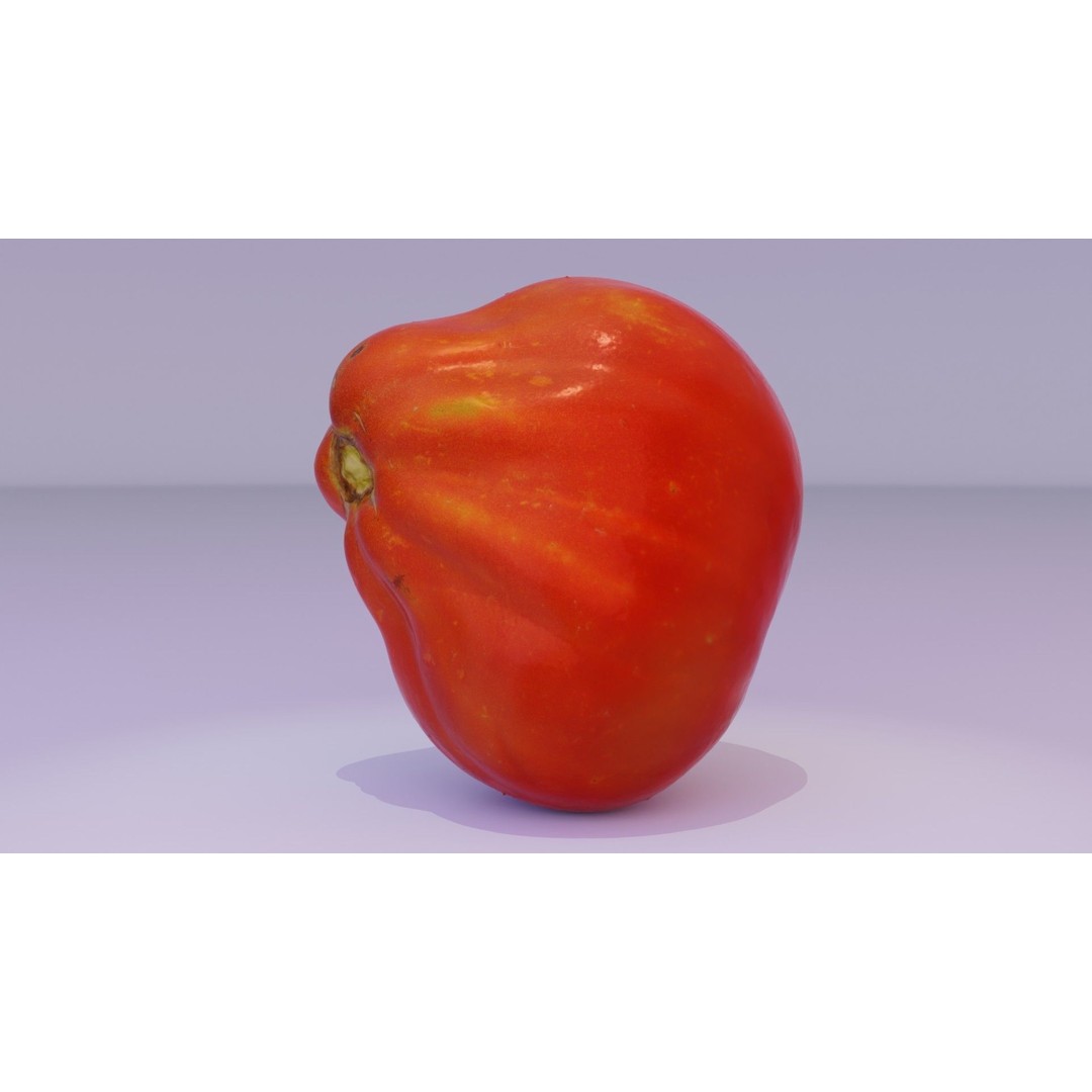 Photorealistic Tomato 3D Model – High Poly PBR Asset for Renders - View 21