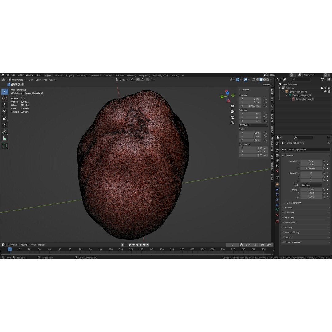 Photorealistic Tomato 3D Model – High Poly PBR Asset for Renders - View 36