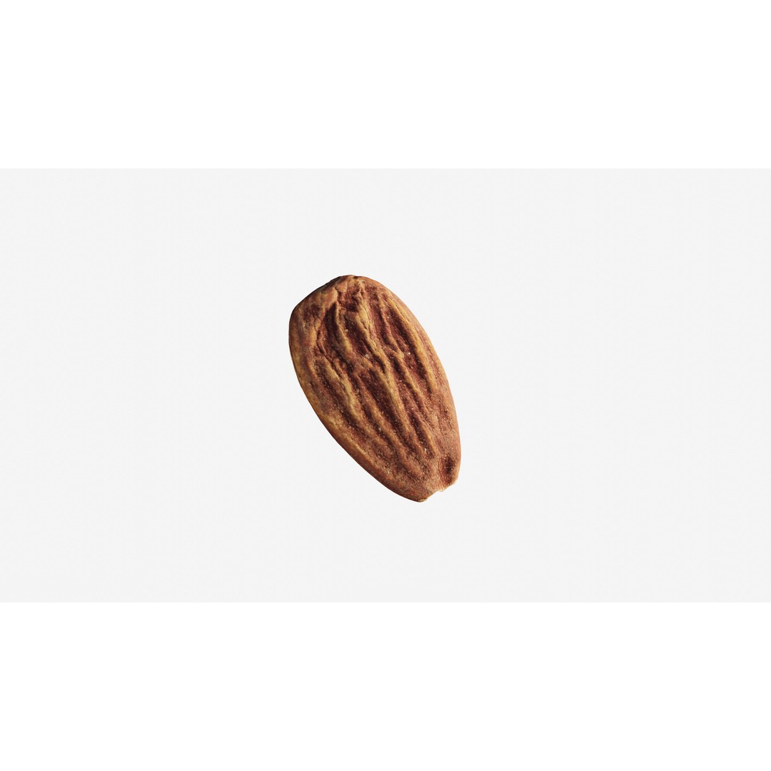 Almond Nut 3D Model – Low Poly Photogrammetry Asset, FBX - View 10