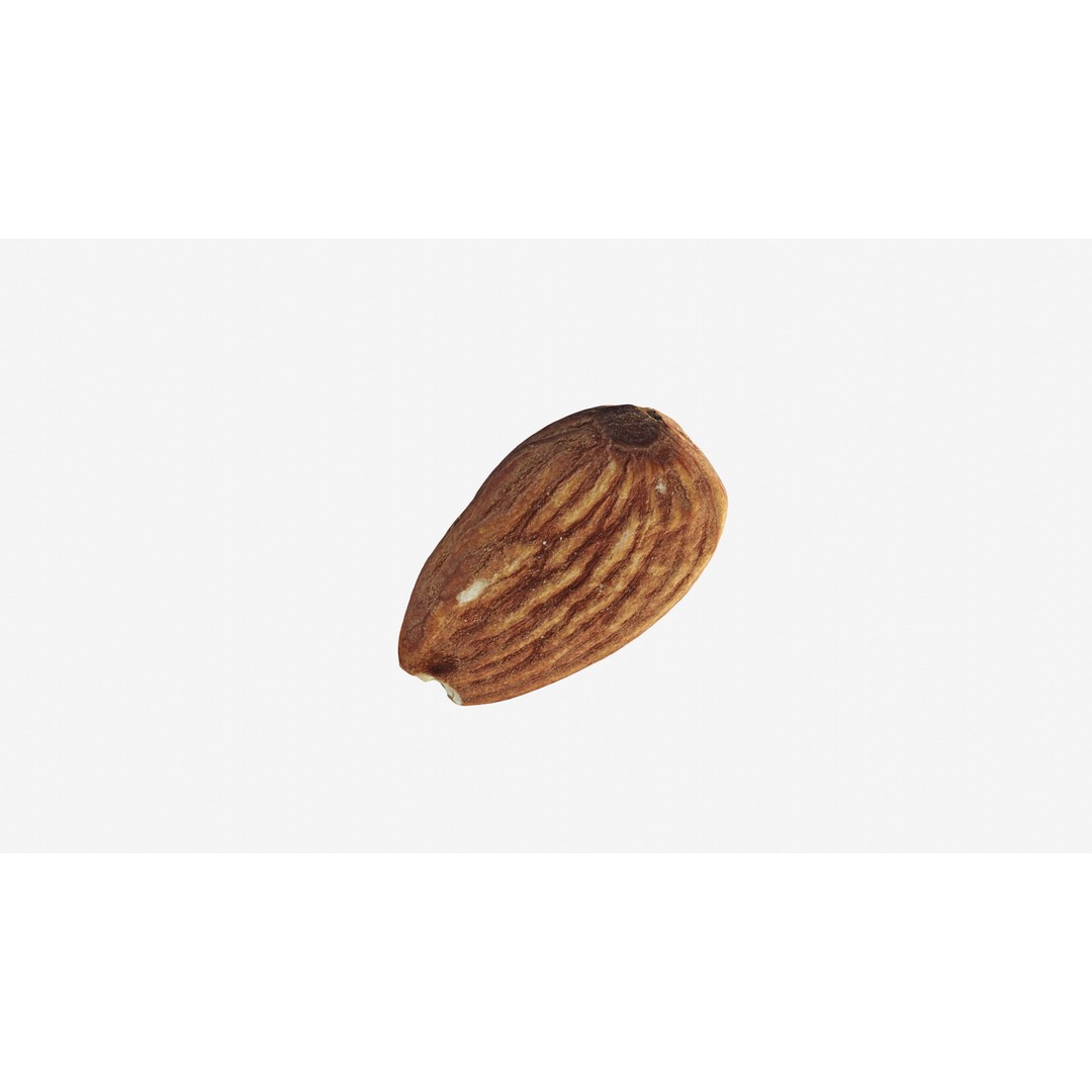 Almond Nut 3D Model – Low Poly Photogrammetry Asset, FBX - View 11
