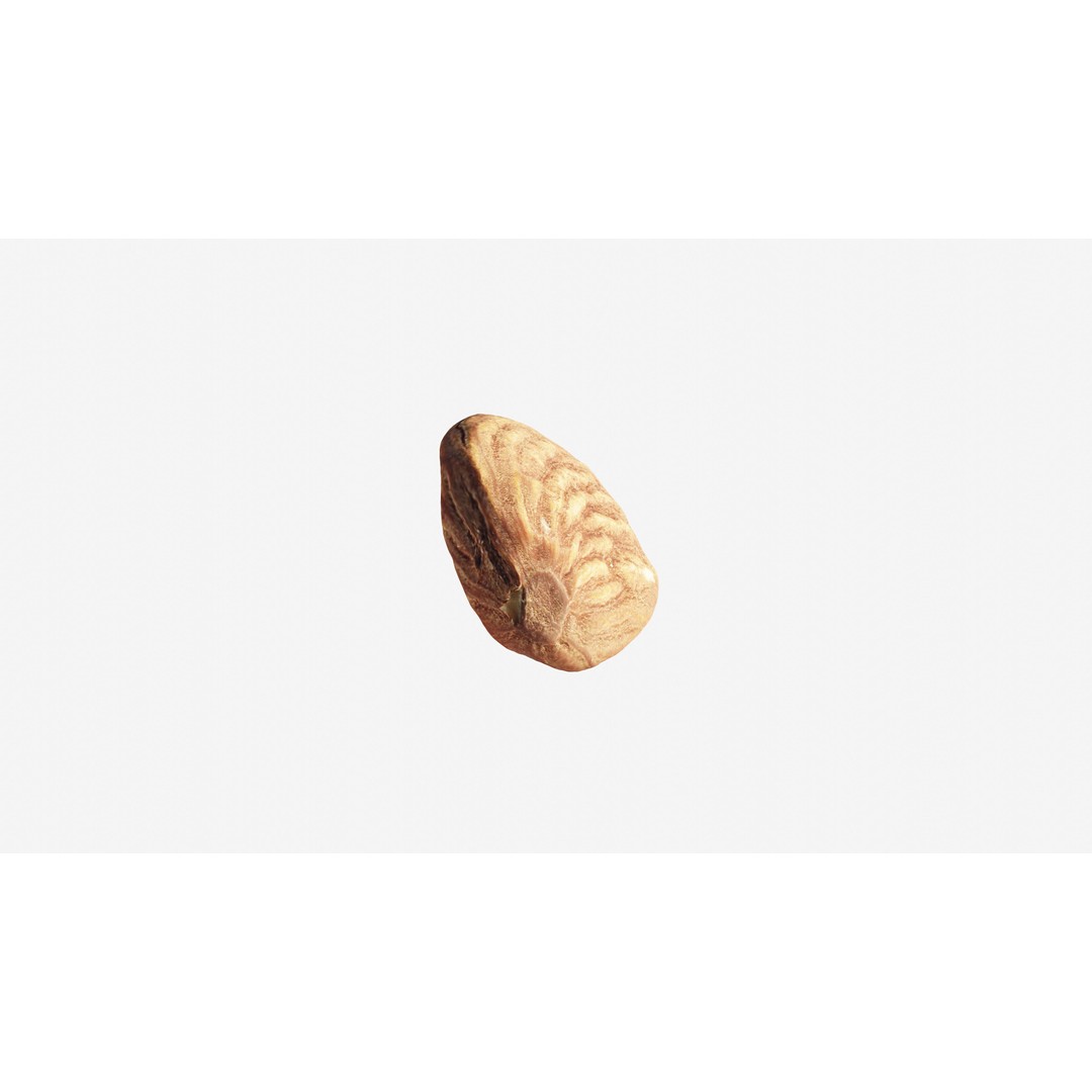 Almond Nut 3D Model – Low Poly Photogrammetry Asset, FBX - View 12