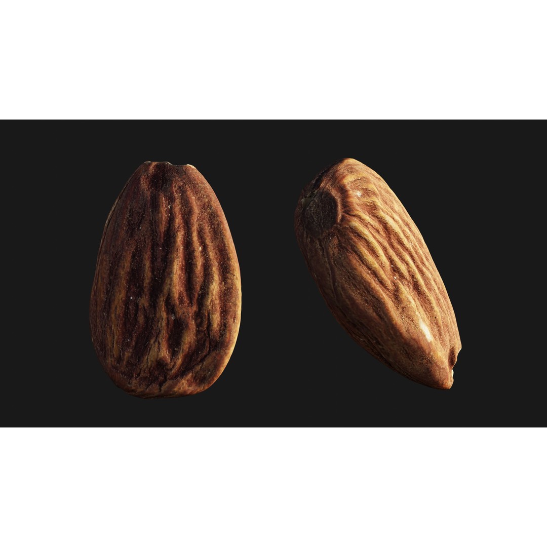Almond Nut 3D Model – Low Poly Photogrammetry Asset, FBX - View 13