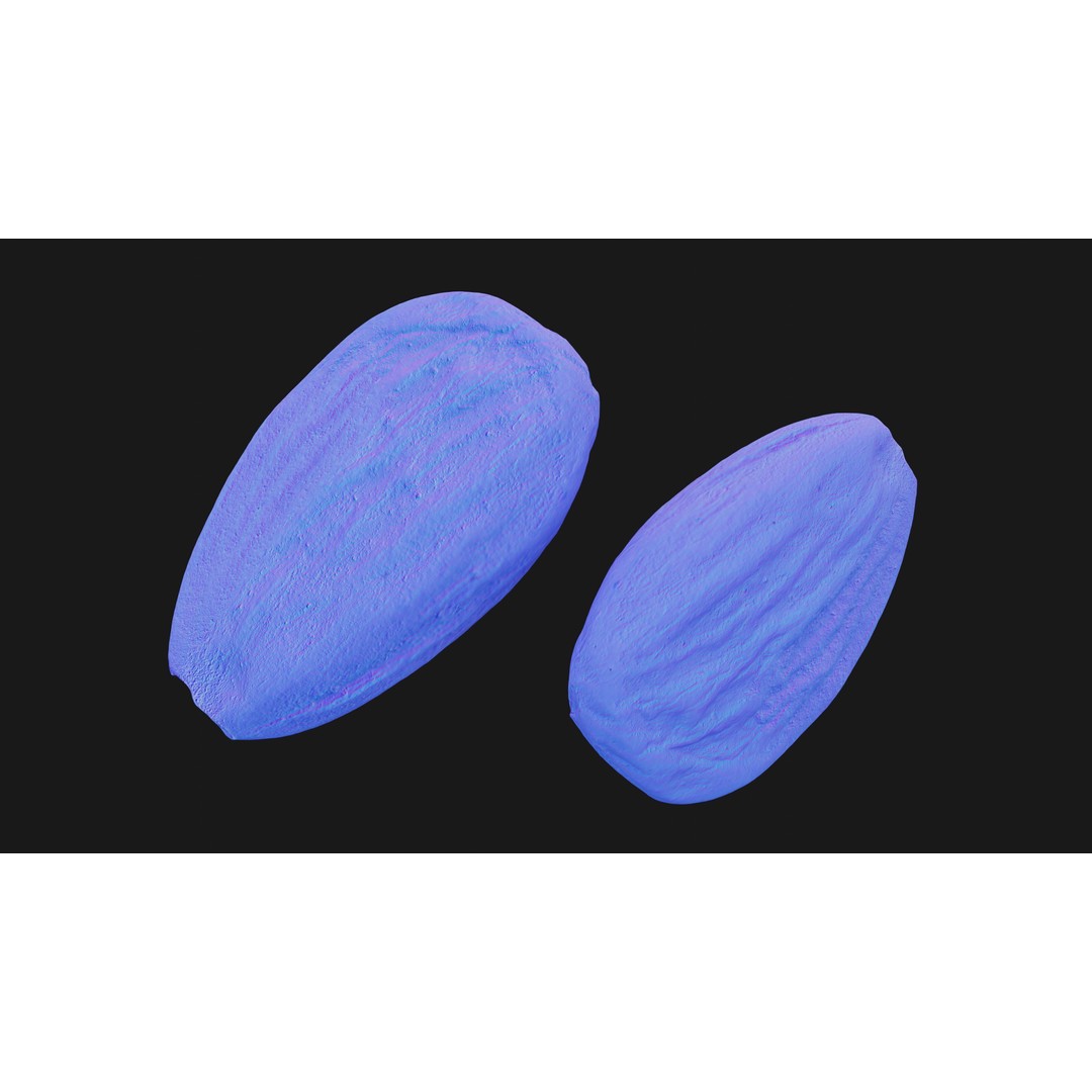 Almond Nut 3D Model – Low Poly Photogrammetry Asset, FBX - View 14