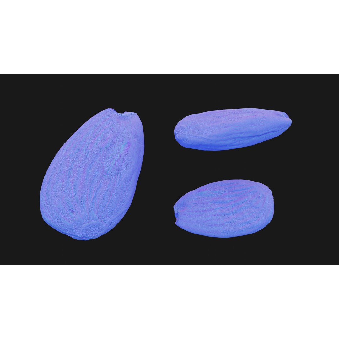 Almond Nut 3D Model – Low Poly Photogrammetry Asset, FBX - View 15