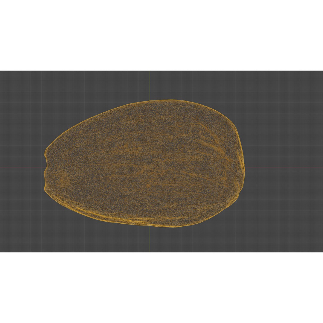 Almond Nut 3D Model – Low Poly Photogrammetry Asset, FBX - View 16
