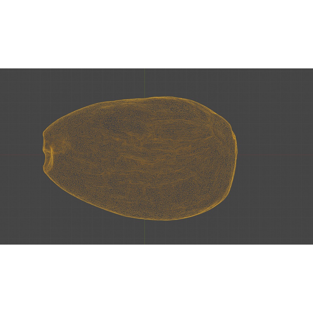 Almond Nut 3D Model – Low Poly Photogrammetry Asset, FBX - View 17