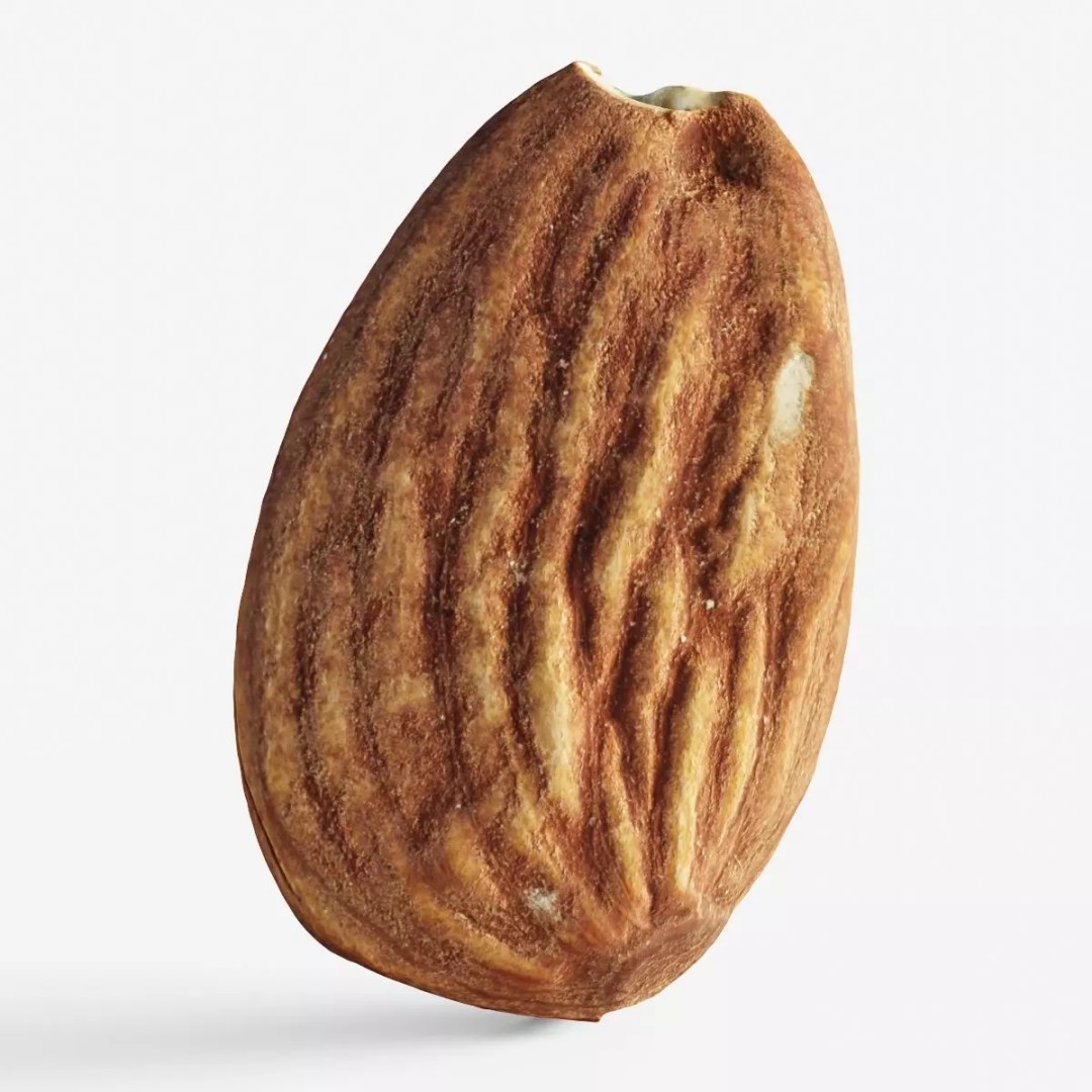 Almond Nut 3D Model – Low Poly Photogrammetry Asset, FBX - View 2