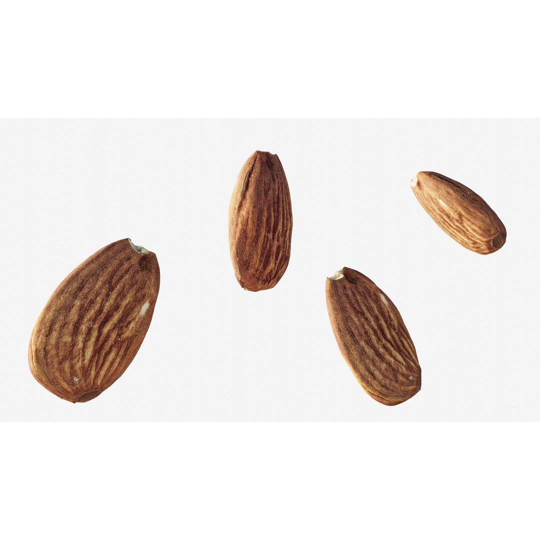 Almond Nut 3D Model – Low Poly Photogrammetry Asset, FBX - View 3