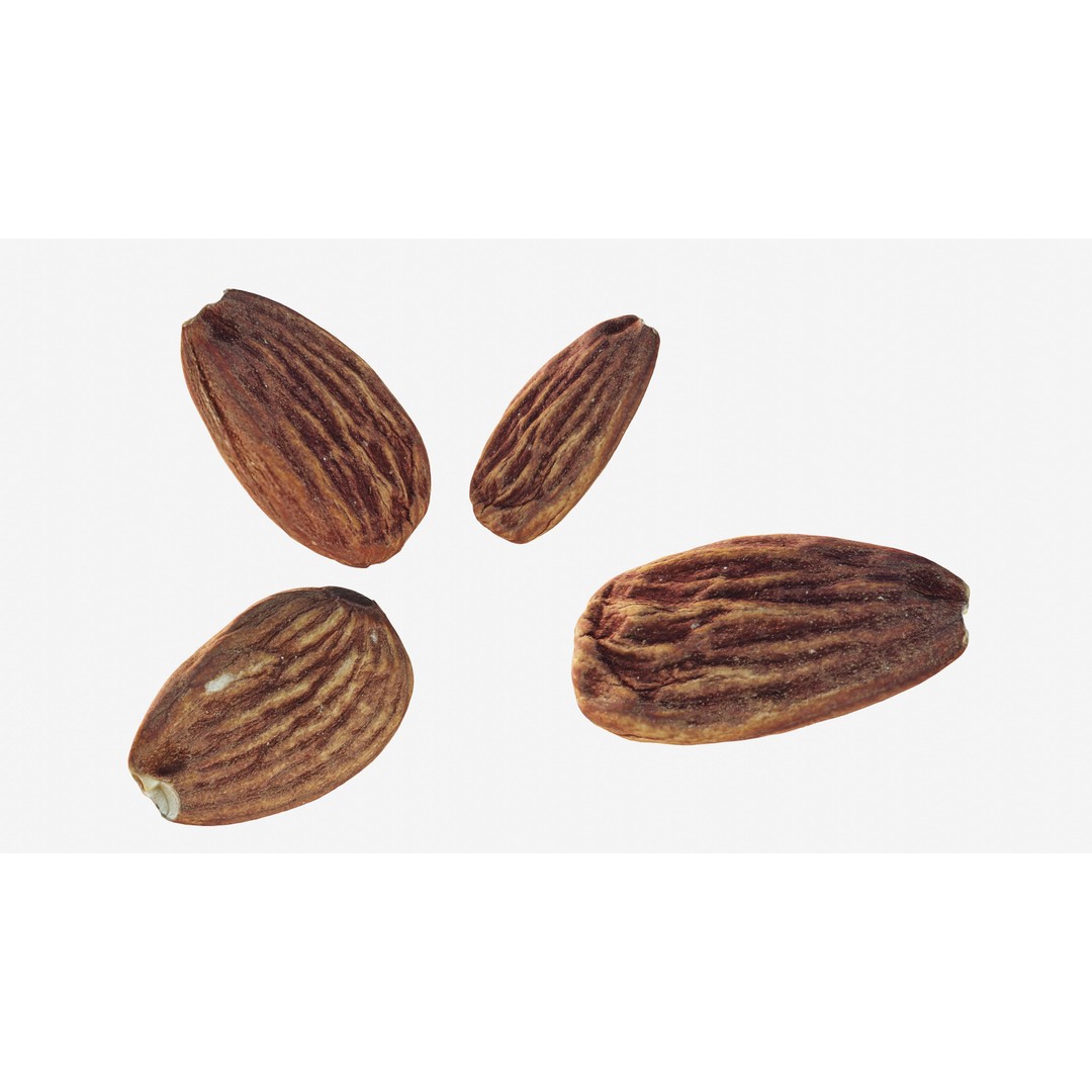 Almond Nut 3D Model – Low Poly Photogrammetry Asset, FBX - View 4
