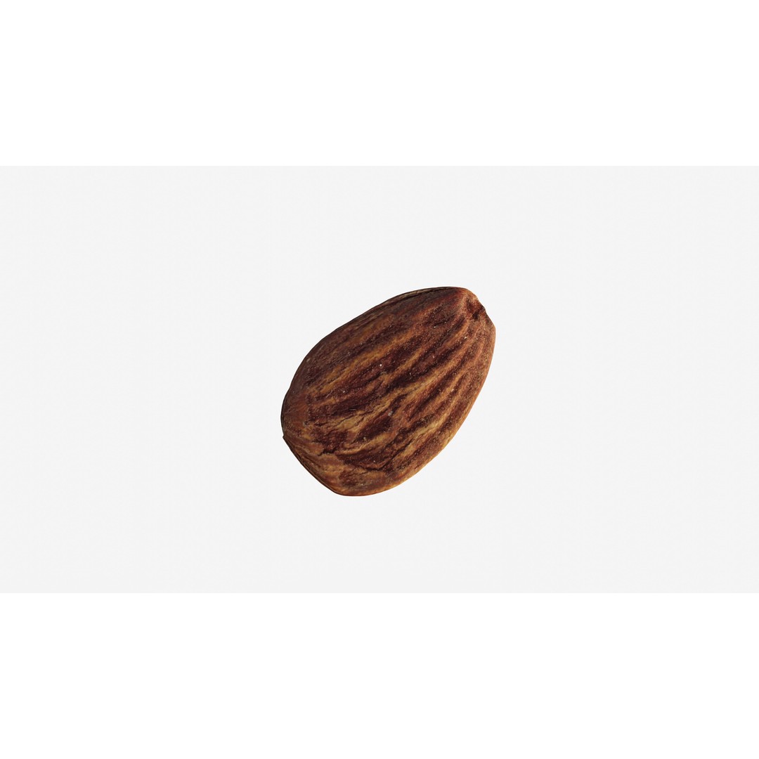 Almond Nut 3D Model – Low Poly Photogrammetry Asset, FBX - View 6