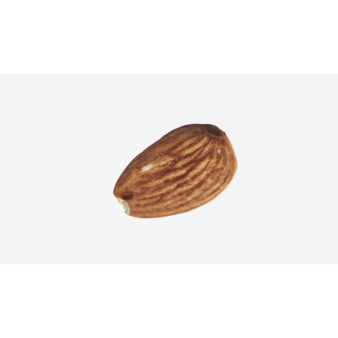 Almond Nut 3D Model – Low Poly Photogrammetry Asset, FBX - View 7