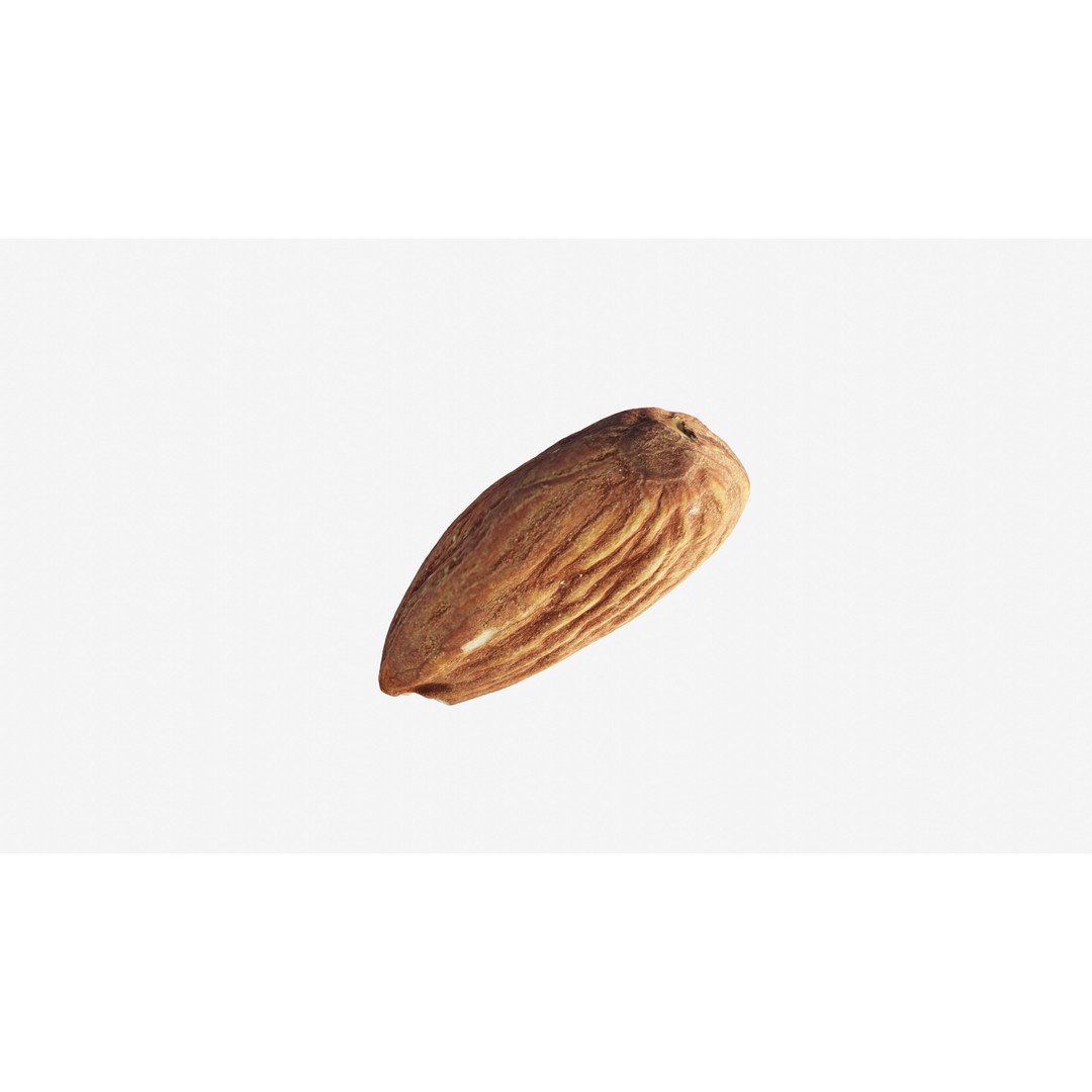 Almond Nut 3D Model – Low Poly Photogrammetry Asset, FBX - View 8