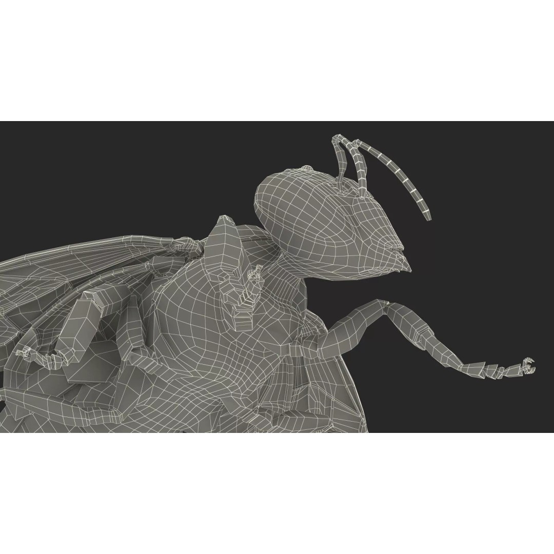 Honey Bee Fur 3D Model – High Poly PBR Asset, FBX, OBJ