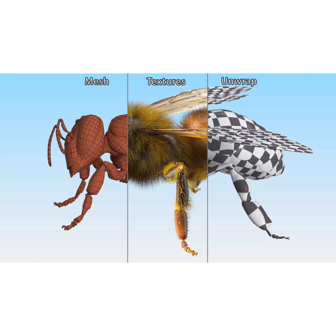 Honey Bee Fur 3D Model – High Poly PBR Asset, FBX, OBJ - View 19