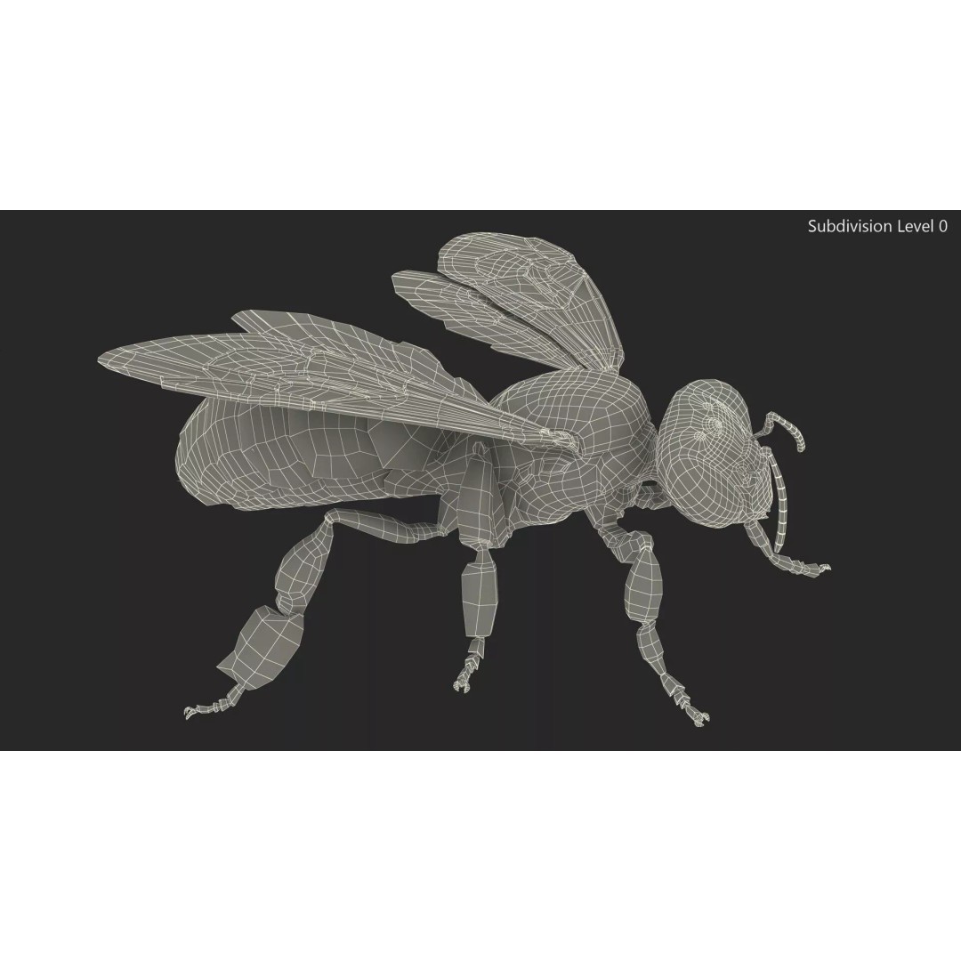 Honey Bee Fur 3D Model – High Poly PBR Asset, FBX, OBJ - View 20