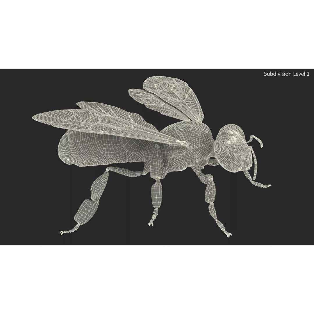 Honey Bee Fur 3D Model – High Poly PBR Asset, FBX, OBJ - View 21