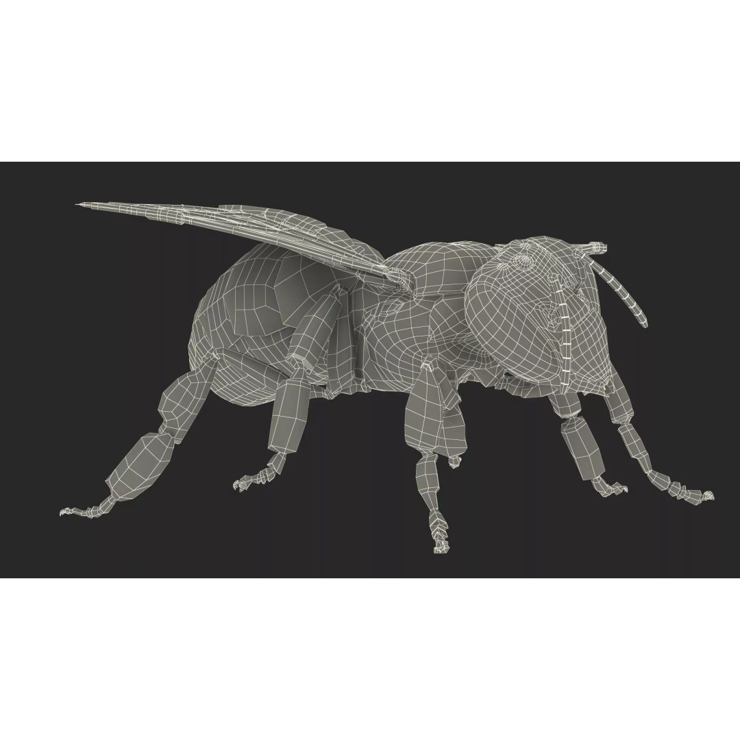 Honey Bee Fur 3D Model – High Poly PBR Asset, FBX, OBJ - View 25