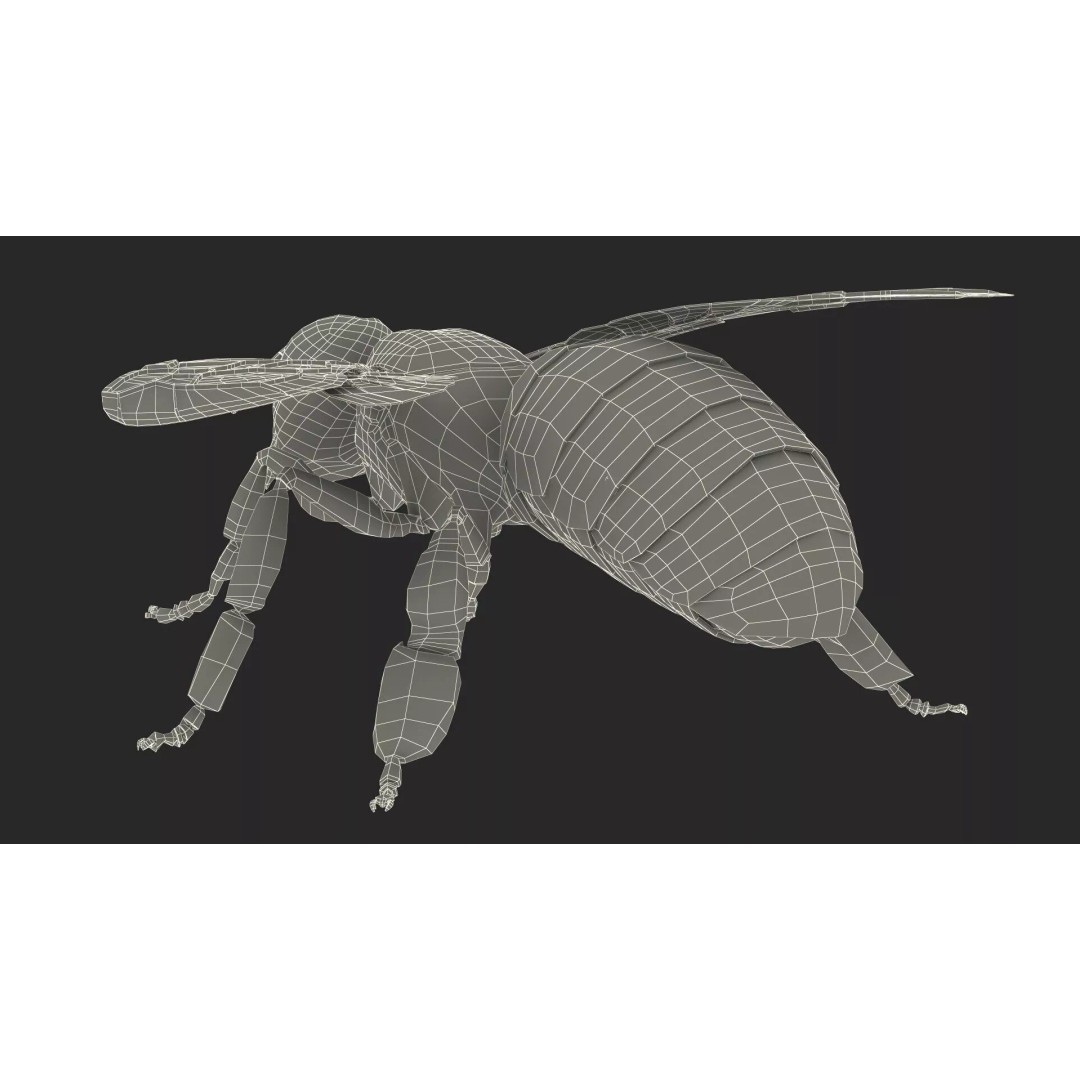 Honey Bee Fur 3D Model – High Poly PBR Asset, FBX, OBJ - View 26